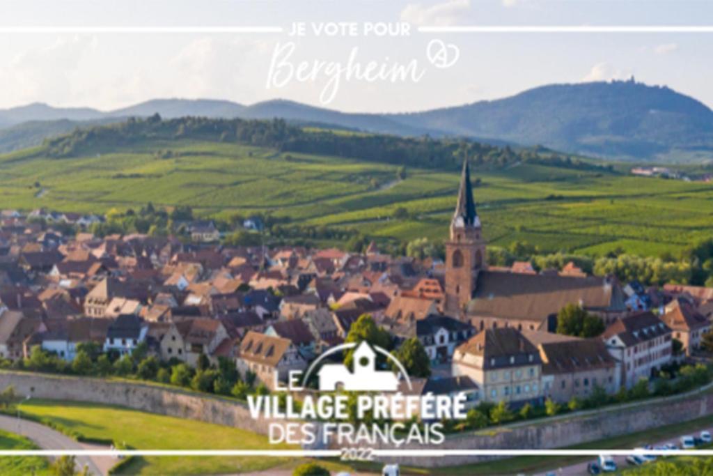 Vue Splendide Au Coeur Des Vignes Leilighet Bergheim Eksteriør bilde