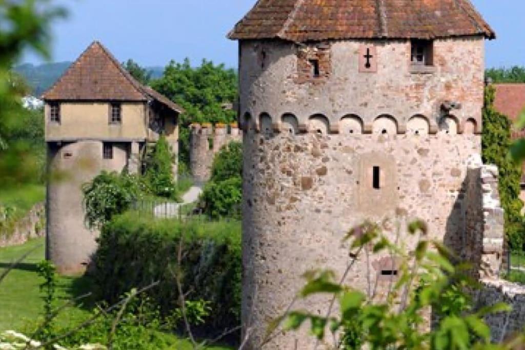 Vue Splendide Au Coeur Des Vignes Leilighet Bergheim Eksteriør bilde